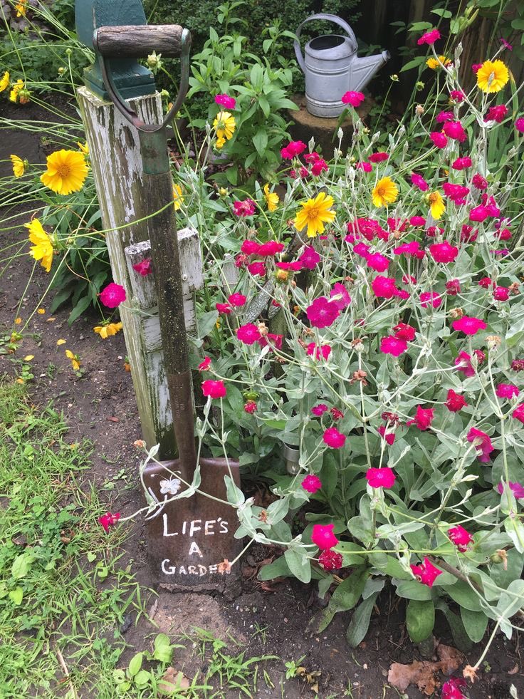 🌸🌷🔆#LifesAGarden #SpreadLove😶‍🌫️💚✌🏻#growyourown 
As you nurture your garden, you nurture your soul💫