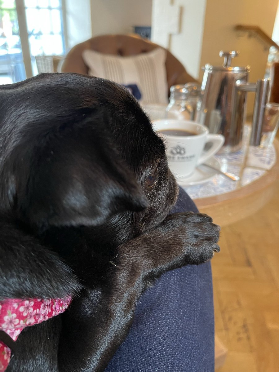 HungerfordMC's tweet photo. @Laura__Farris Thank you &amp; @TVP_WestBerks for listening to residents of Hungerford today. As a victim of an assault causing #cPTSD somewhere else the fear of crime can have serious repercussions. #pug @TV_PCC https://t.co/s8Hs4exdVr