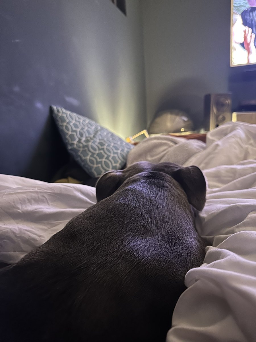 SpacemanSonic's tweet image. Night