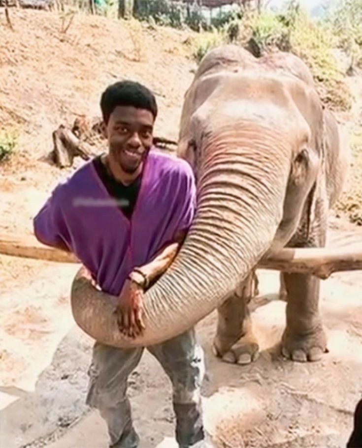 ChadwickBBrasil's tweet photo. TBT| Fotos raras do Chadwick Boseman em uma viagem 💜 https://t.co/rhxGuhYKY2