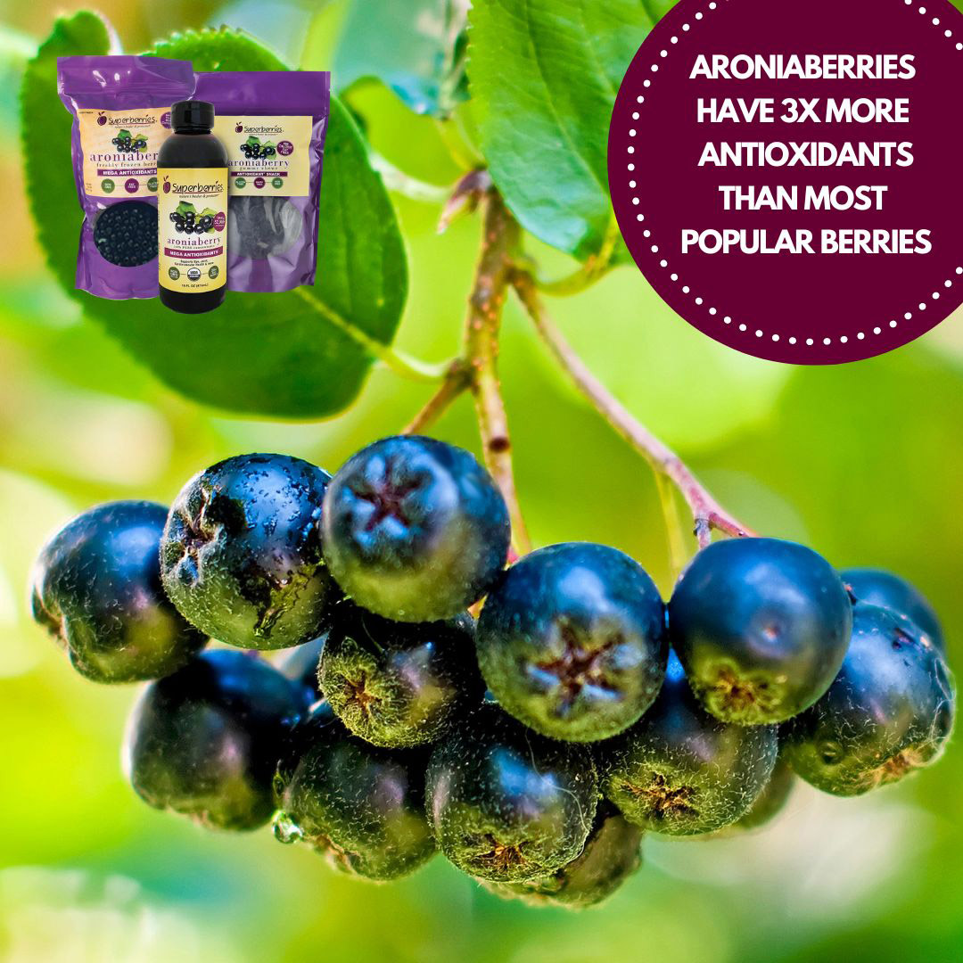 Superberries Aroniaberries top the #antioxidant charts and have 3 times more antioxidants than most popular berries like blueberries and cranberries. Learn why this is so important for your health, at superberries.com
*
#Superberries #Aroniaberries #Chokeberries #Wellness