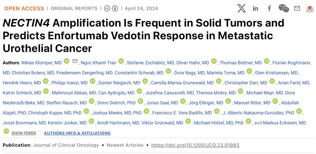 We are happy to share our new study published today @JCO_ASCO (👉 ascopubs.org/doi/10.1200/JC…) on the role of NECTIN4 amplifications to predict responses to Enfortumab Vedotin treatment in metastatic urothelial cancer. With a huge contribution of our multinational team we uncovered