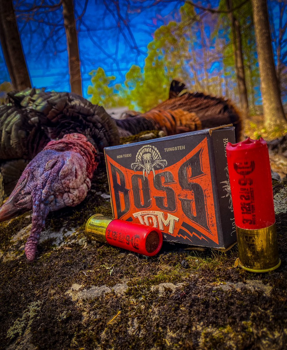 DMullinsfishing's tweet photo. Gobble gobble
#bossshotshells #turkeyhunting https://t.co/QZslbnVHw7