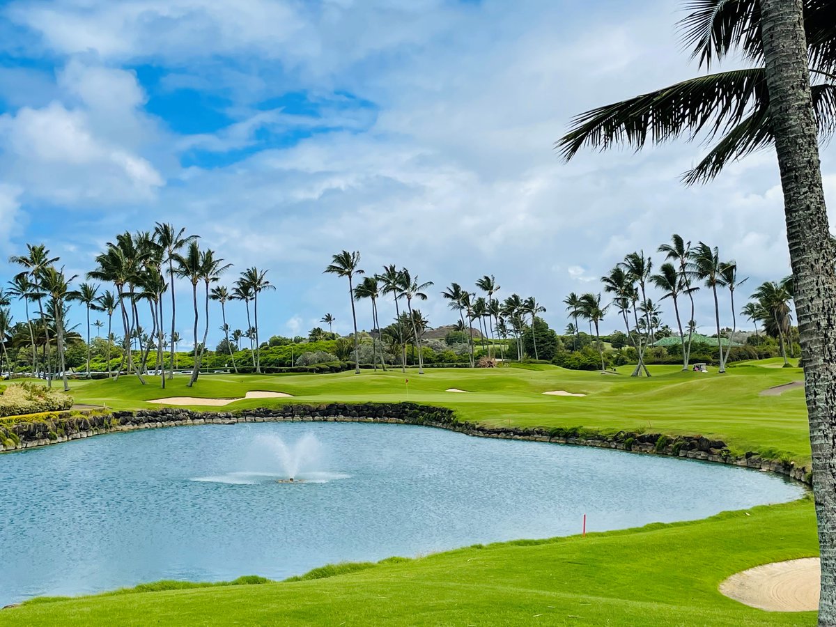 Fresh off recent course enhancement projects, Poipu Bay is now more than ever a must play. Book your tee time on the course that has played host to the Grand Slam of Golf including Tiger and the game’s greats: 
gogolfkauai.com/poipu_bay_cour…
