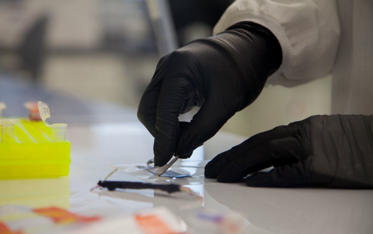 Today is #NationalDNADay! DNA testing helps associate victims and suspects with each other, with evidence items, or with a crime scene. Visit ow.ly/AwGF50RoglB to learn about FBI forensics and DNA analysis. #FBI #DNA #Forensics
