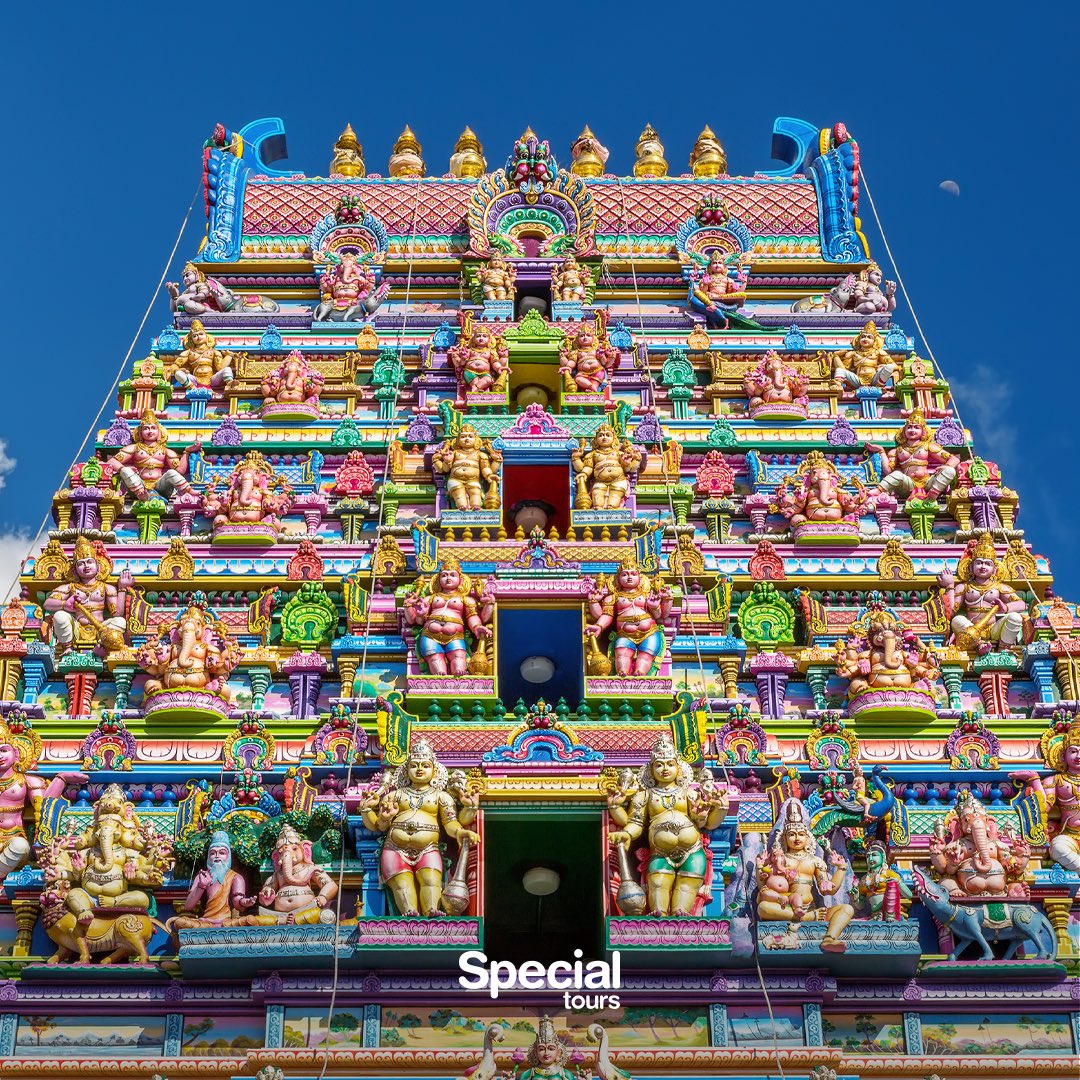 Special Tours tweet media