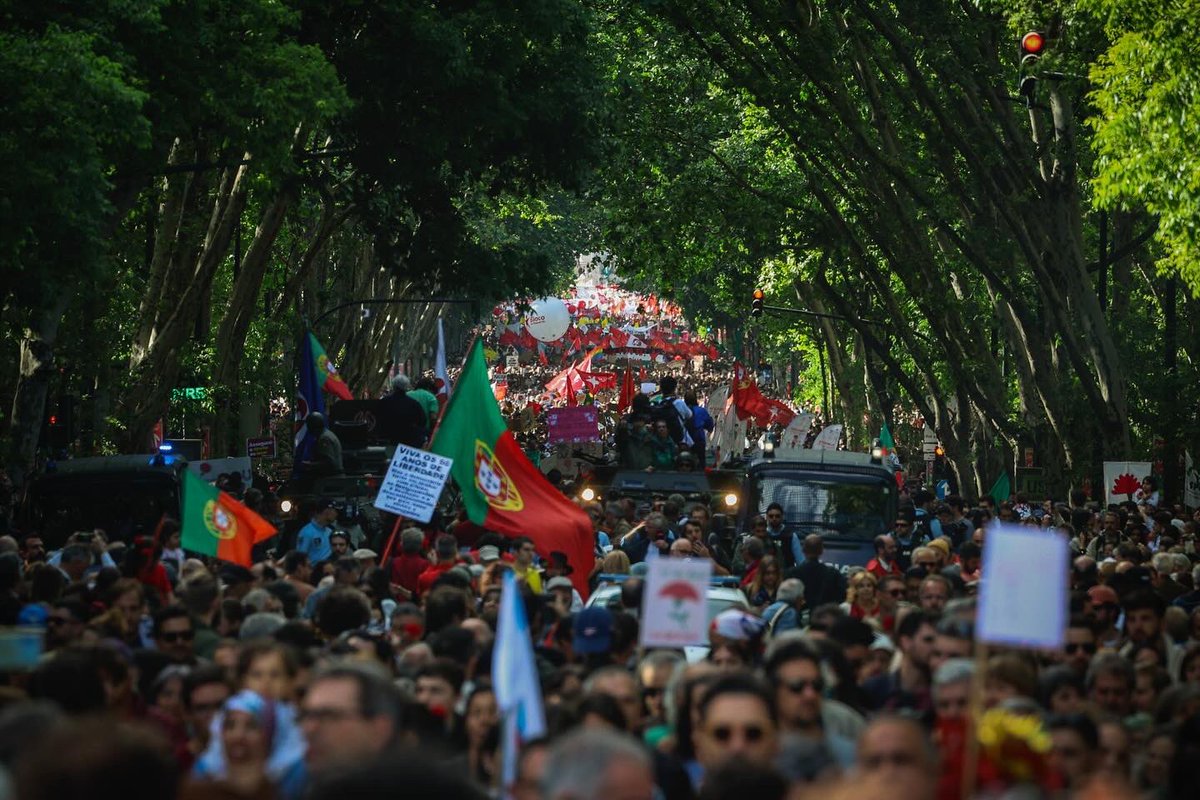 João Porfírio tweet media