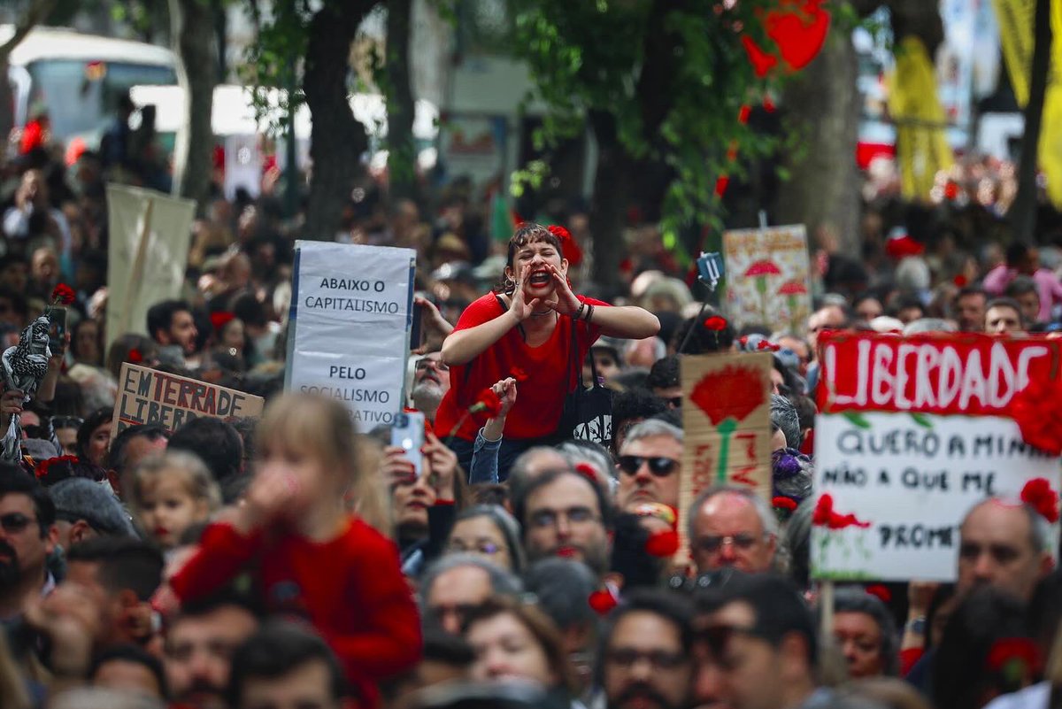 João Porfírio tweet media