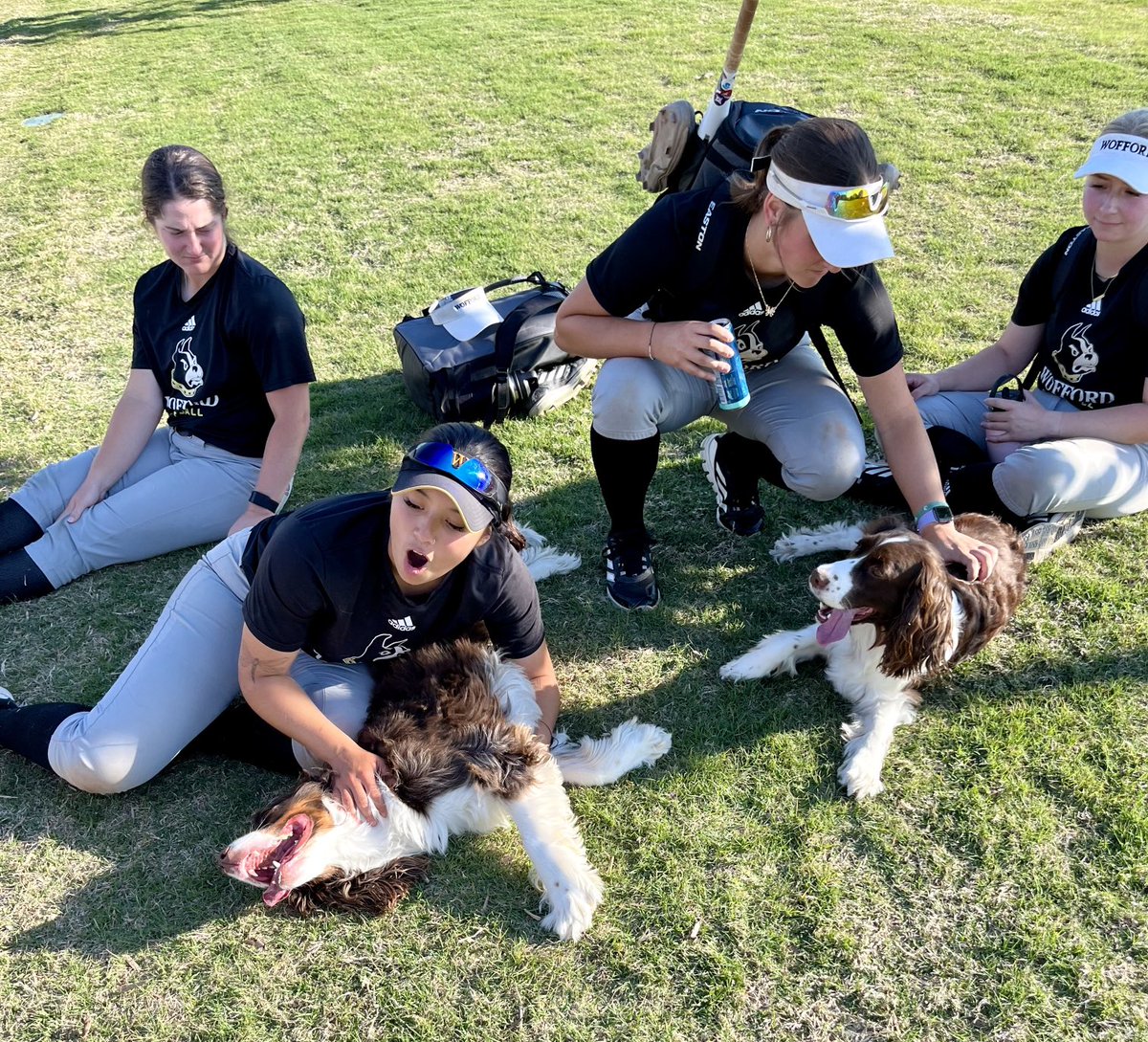 Texas and Caroline getting a little love from our outstanding Terrier 🥎 team. #goterriers #conquerandprevail