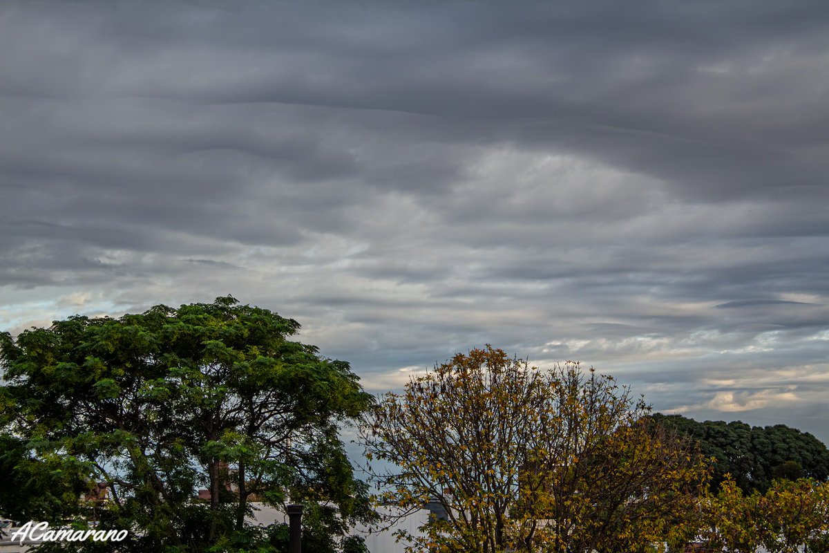 Por el Barrio Buceo.
#Montevideo