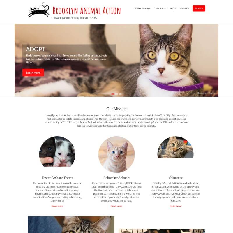 A good website is essential for non-profits that run on donations and volunteers!

Check out this fantastic website that Maria Moyser built in the Website Creation Workshop f...
brooklynanimalaction.org
websitecreationclass.com

#nonprofitwebsites #webdesign #donationswelcome