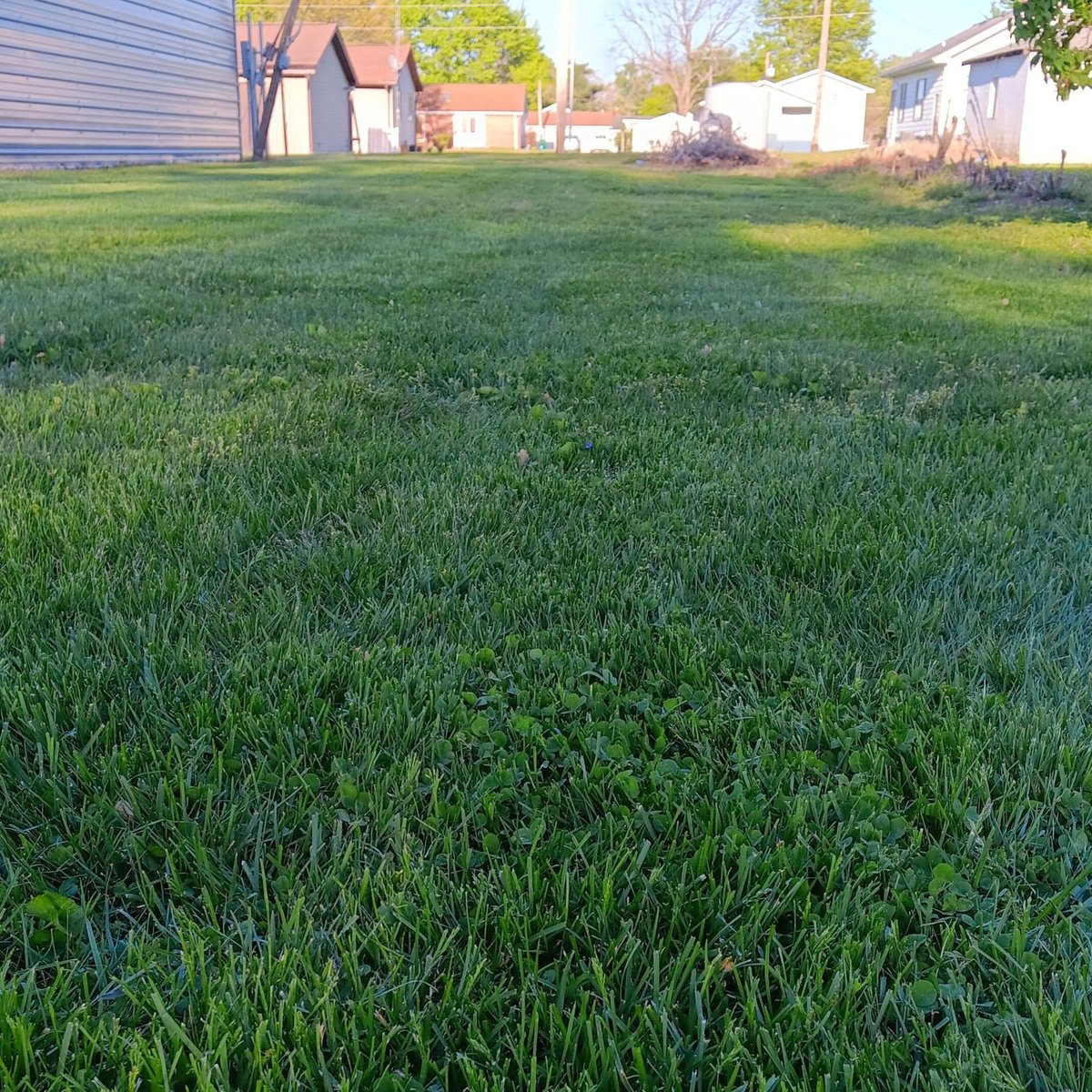 He lays down upon the plush grass dreaming of the illusionary childhood that would never be.

#VssNature #Plush 📷Mine