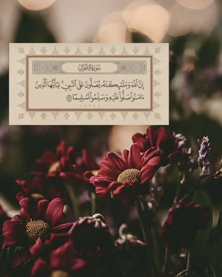 سُكرة🍥🌿 tweet media