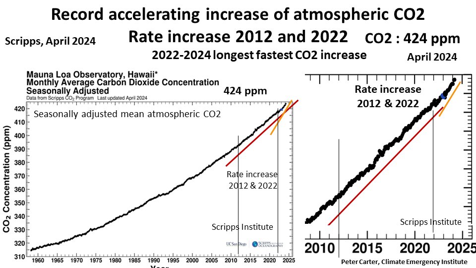 RECORD INCREASE ATMOSPHERIC CO2 CO2 (2022-2024) record longest fastest increase. Faster 2012 & 2022. Major factor warming acceleration. Acclerating Global heat & ocean acidifcation (CO2) certain unlivable future. scrippsco2.ucsd.edu/assets/graphic… #CO2 #climatechange #globalwarming