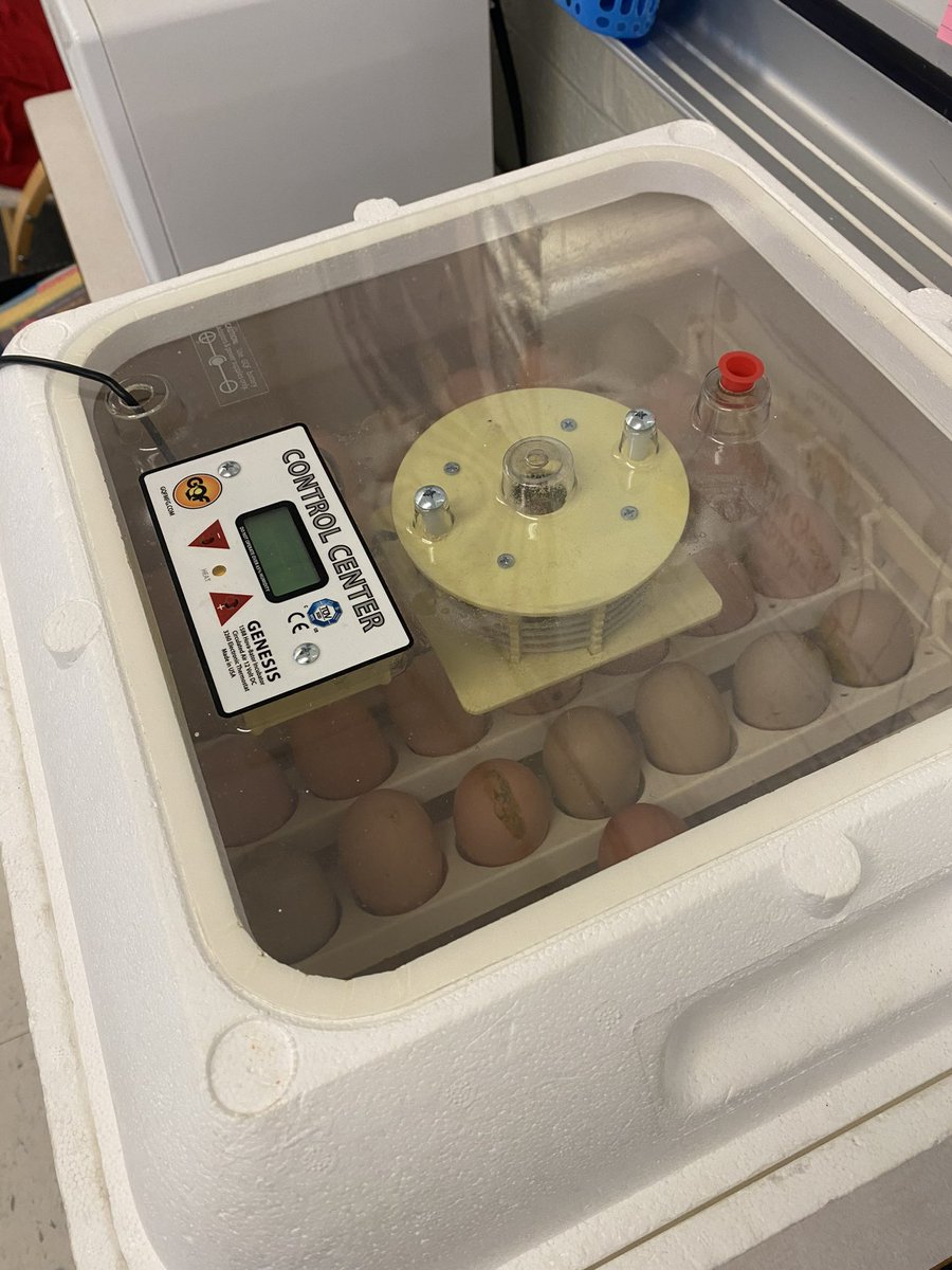 Memorial Academy tweet media