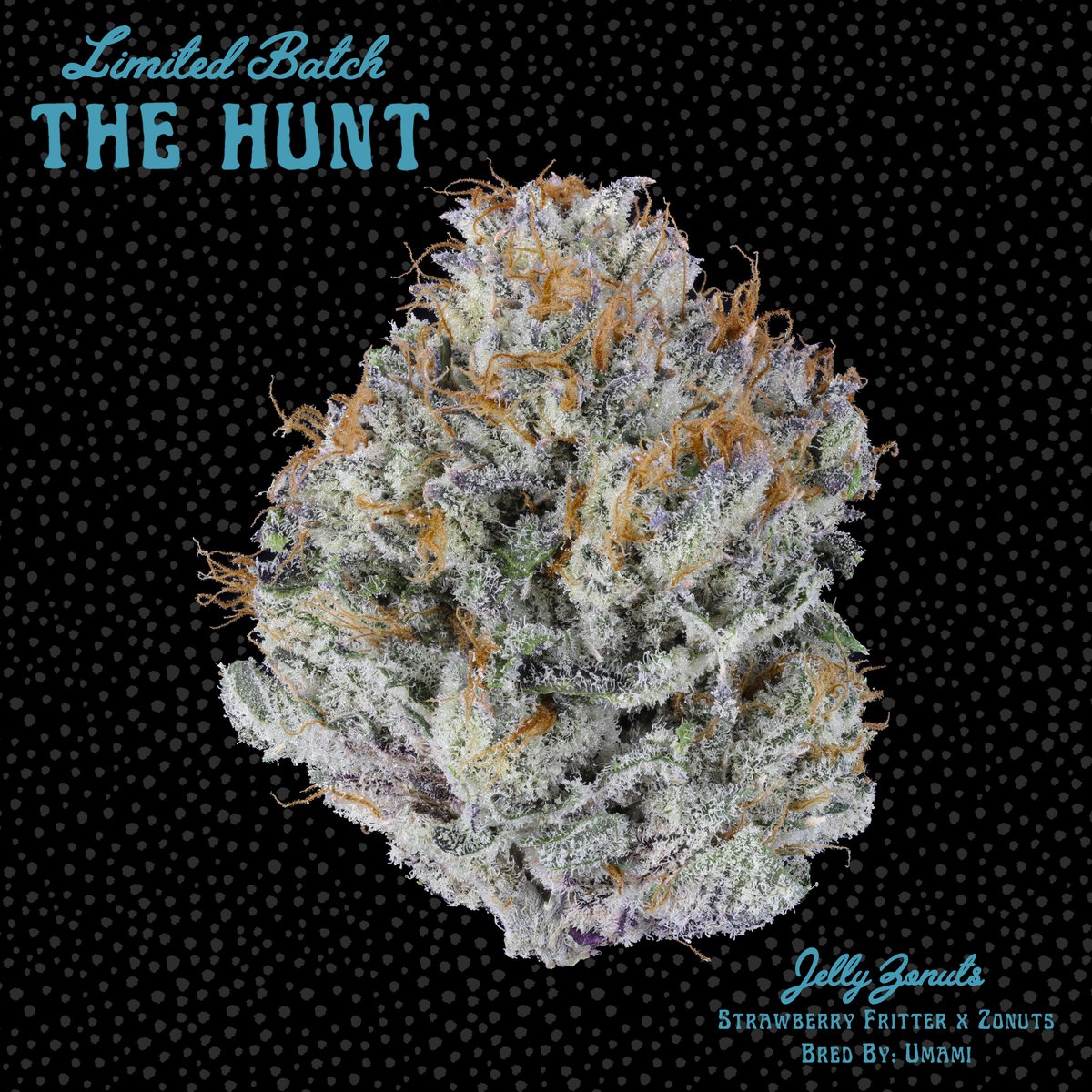 FreddysFuego's tweet image. The Hunt is making landfall!