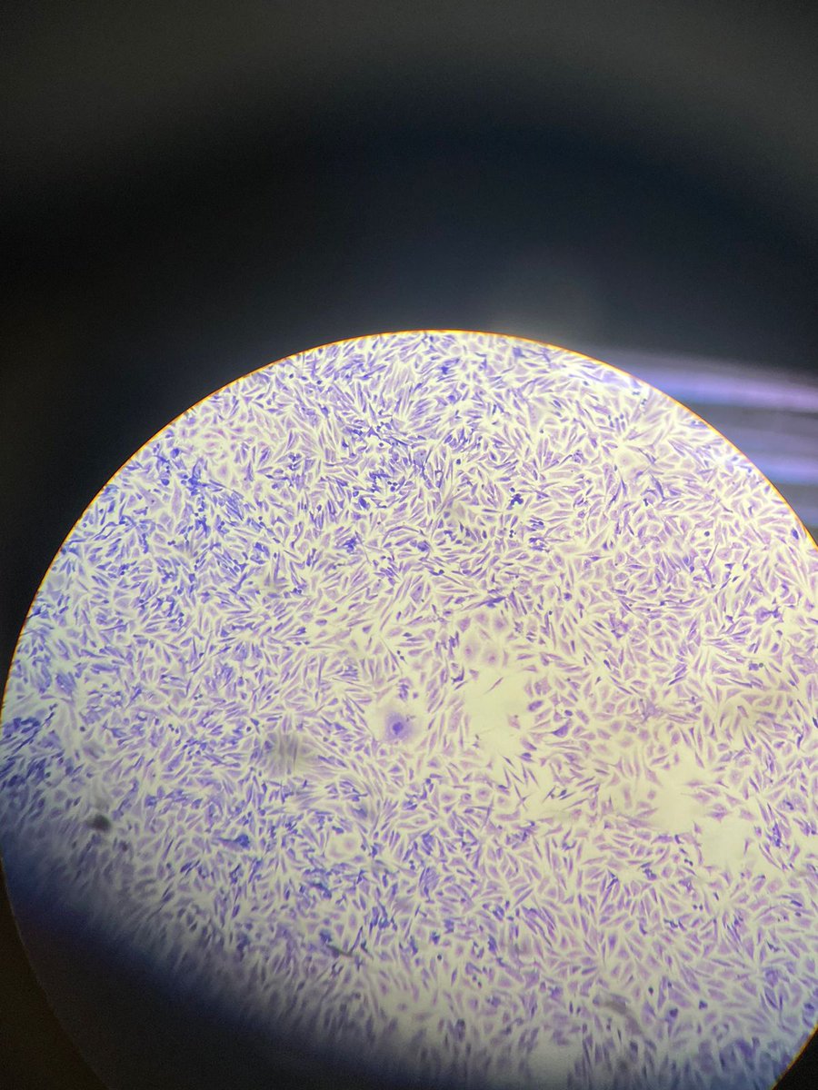 studynavi's tweet image. visitei a ufg ontem e saí apaixonada🥺🥺