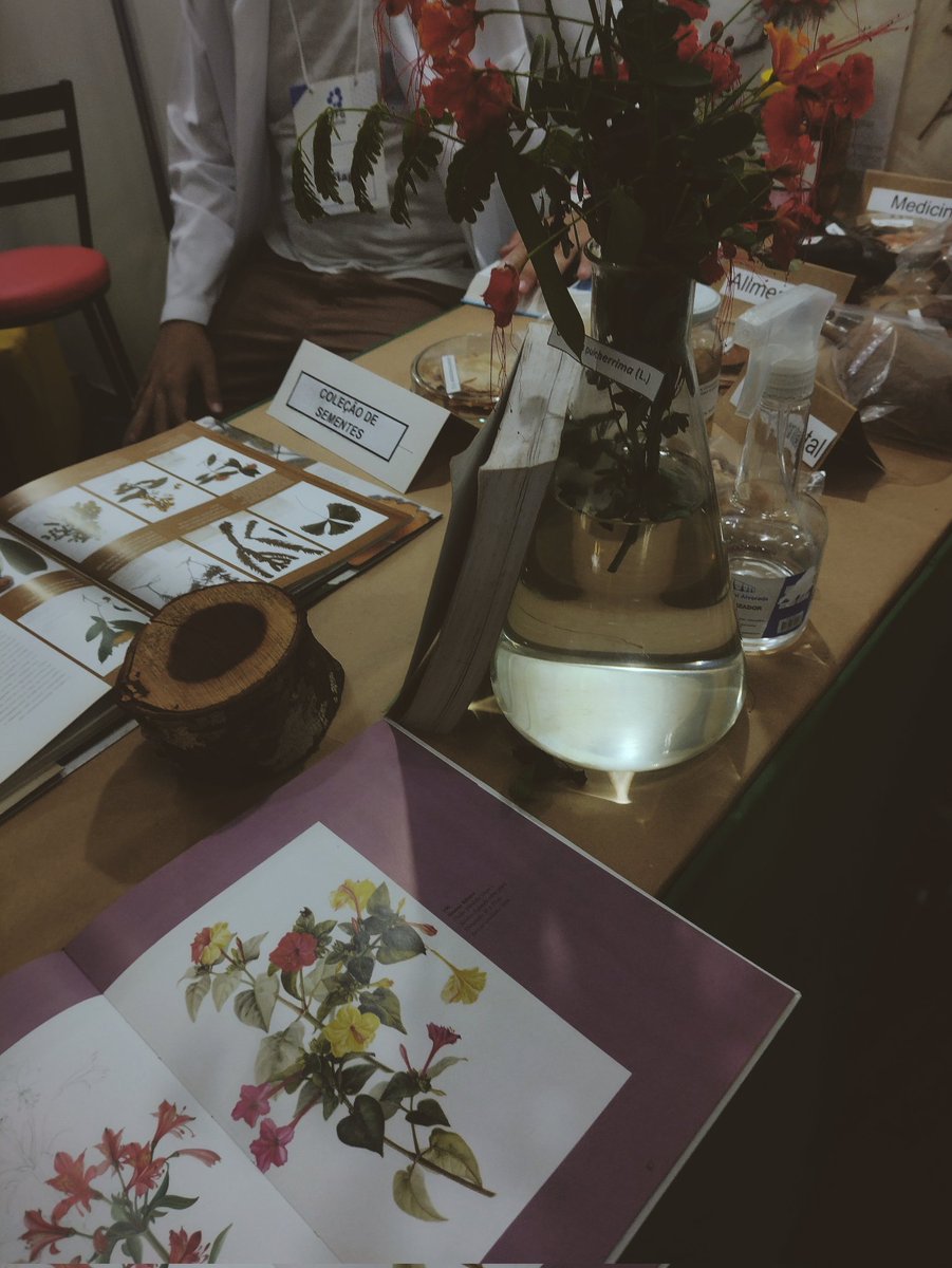 studynavi's tweet image. visitei a ufg ontem e saí apaixonada🥺🥺