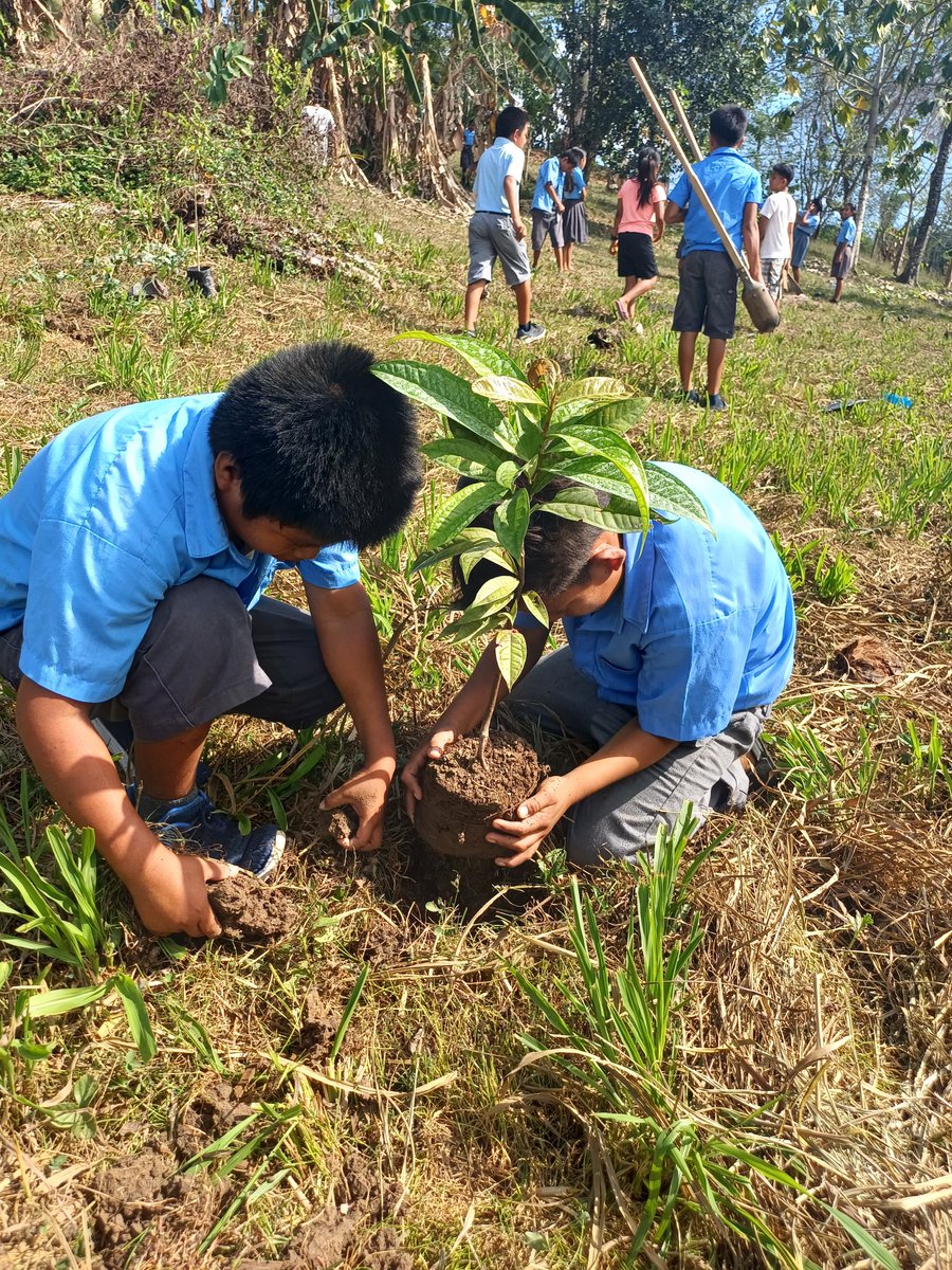 TIDEBelize's tweet photo. For Earth Day 2024 TIDE assisted San Pedro Columbia RC School in planting 14 fruit trees.
Projects like this empower students to participate in the brighter, healthier, happier community they deserve! https://t.co/QmiOOHZJAB