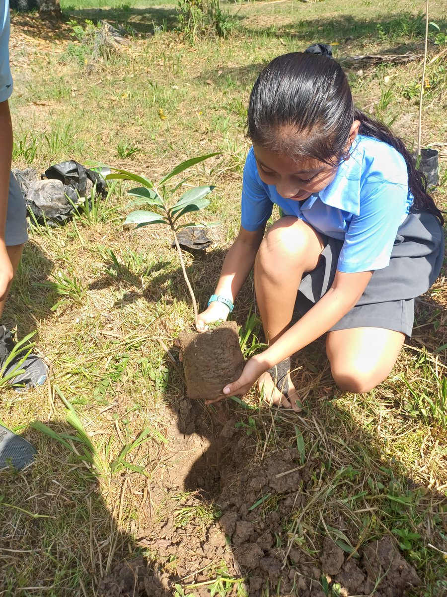 For Earth Day 2024 TIDE assisted San Pedro Columbia RC School in planting 14 fruit trees.
Projects like this empower students to participate in the brighter, healthier, happier community they deserve!