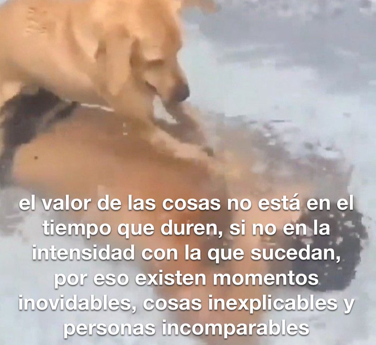 conoloracigarro's tweet photo. https://t.co/MW63xol9KO
