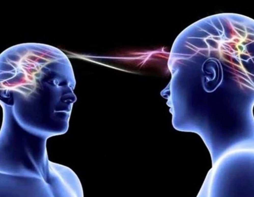 me and the homie telepathically deciding to roll a blunt