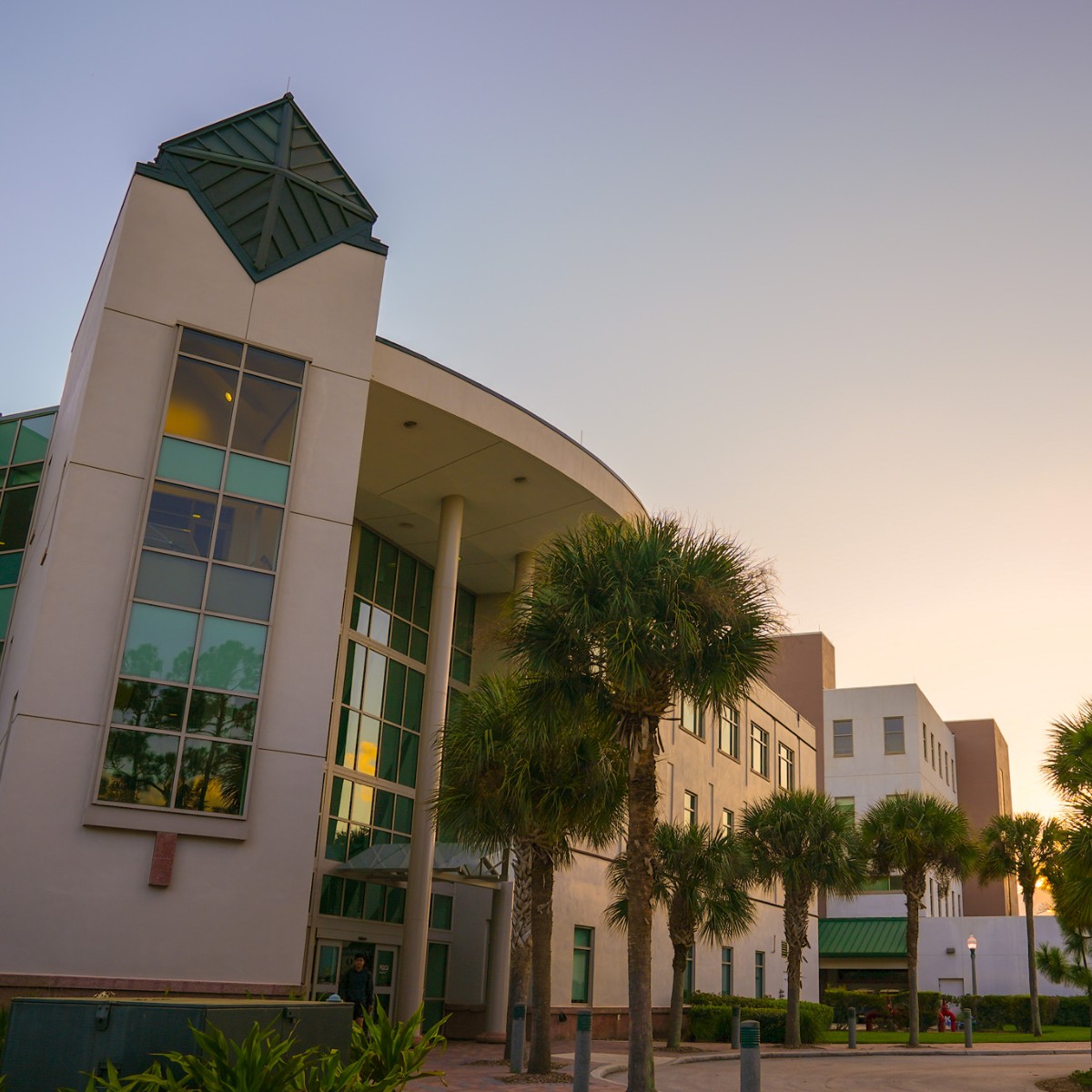 One thing about #FGCU - the campus is gorgeous from every angle! ✨🌴 #sunset