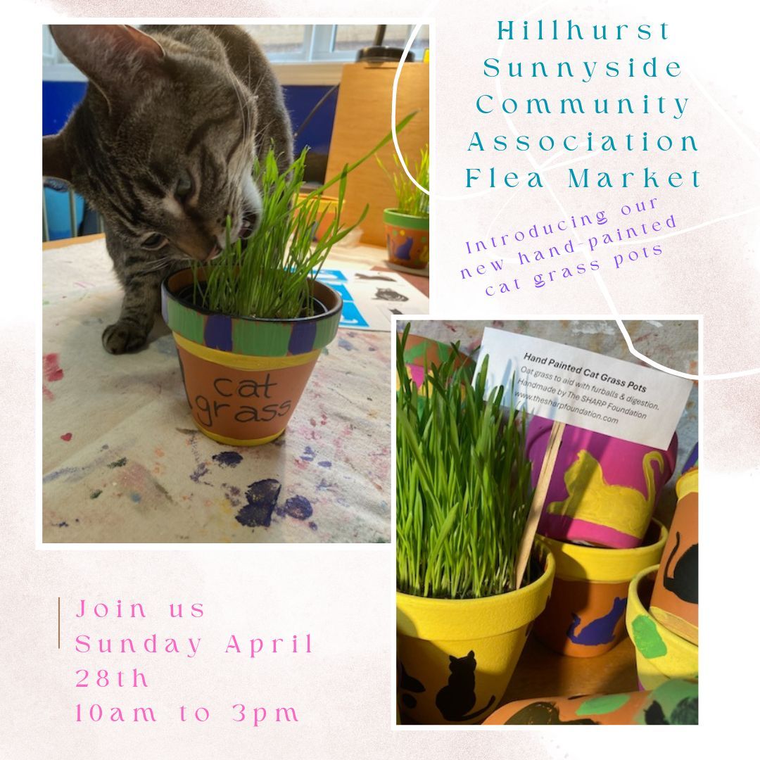 The SHARP Foundation tweet media