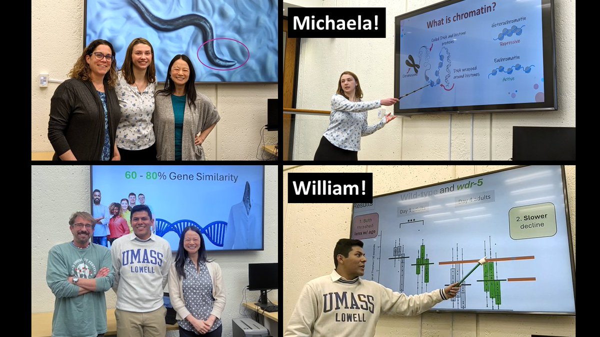 snickclunk's tweet image. 🥳CONGRATS to our two seniors defending theses for @HonorsUML: Michaela Dillon &amp;amp; William Miguel!

They were my first @UML_Biology trainees in the brand new (and in 2020, still imaginary) Lee lab. It's been incredible to watch them grow as scientists &amp;amp; leaders in @KCSciences_UML🤓