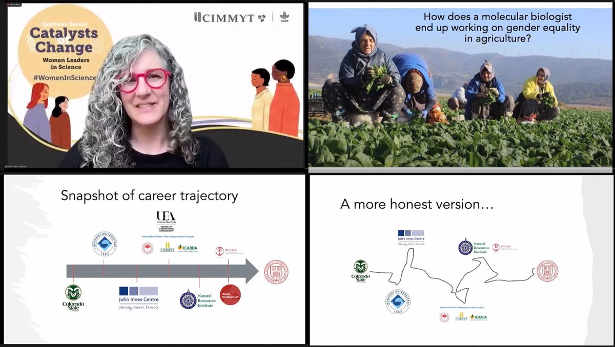 Happy to learn how @CIMMYT has triggered @HaleAnnTufan’s trajectory & life journey to work on gender equality in agriculture & in that way serve women farmers worldwide. If you missed the latest #CatalystsOfChange webinar: 📽️ bit.ly/49KQ0BL