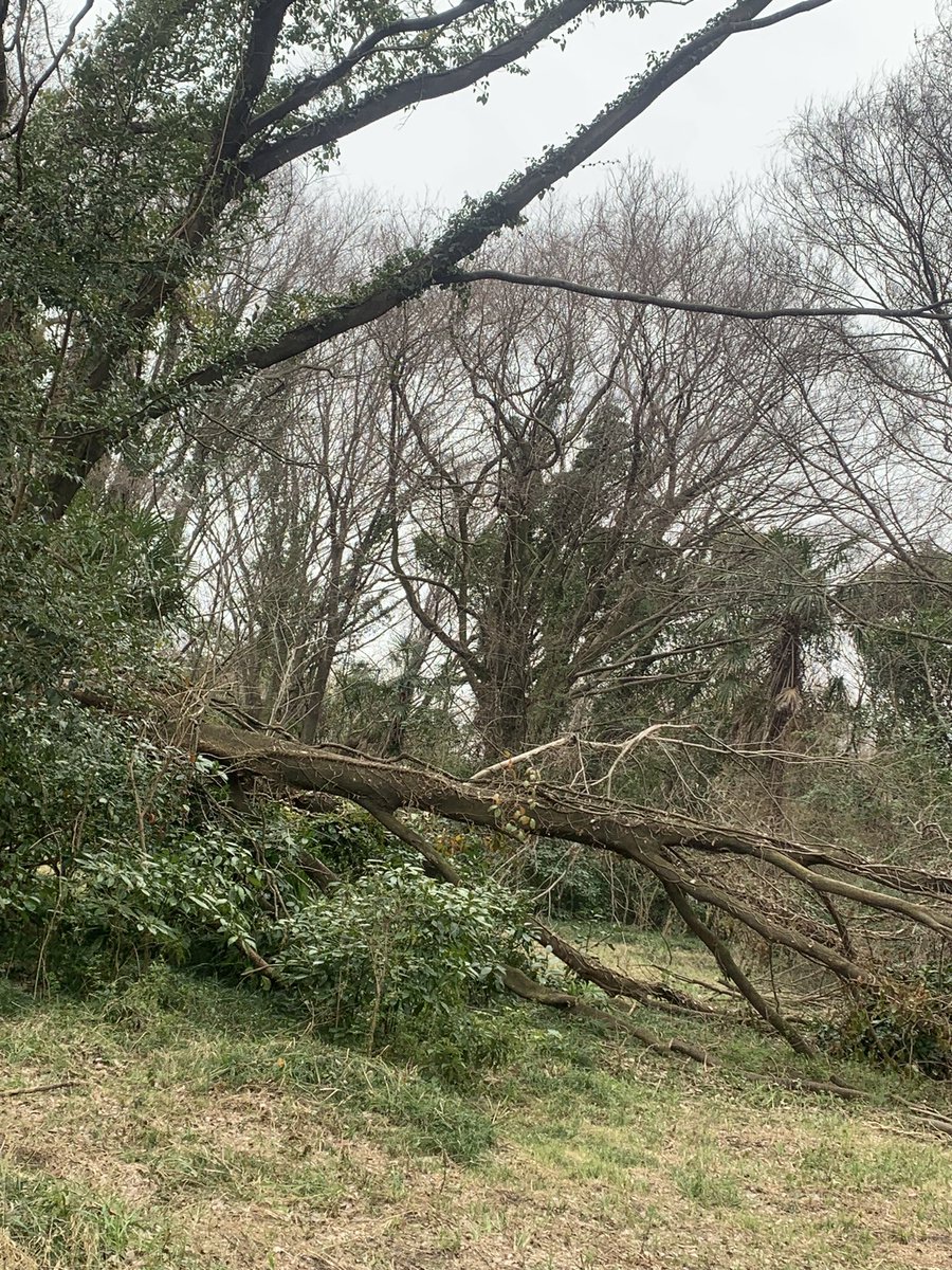 DOGTAG2024's tweet image. 岐阜柳津町の
サバイバルフィールドDOGTAG
まだまだ知名度が足らないんですよー。
どーすれば沢山のサバゲーマーさんにある場所と名前だけでも覚えてもらえるんですかねー？アイデア募集中

それでGW新しいフィールドだからって遊びに来て欲しいんだけどなぁ。
RTお願い致します