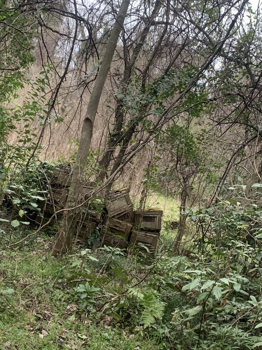 DOGTAG2024's tweet image. 岐阜柳津町の
サバイバルフィールドDOGTAG
まだまだ知名度が足らないんですよー。
どーすれば沢山のサバゲーマーさんにある場所と名前だけでも覚えてもらえるんですかねー？アイデア募集中

それでGW新しいフィールドだからって遊びに来て欲しいんだけどなぁ。
RTお願い致します