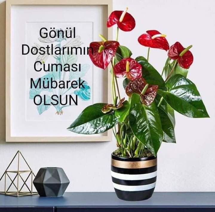 #Günaydın #Cuma #CumamızMübarekOlsun GÜNAYDIN… …