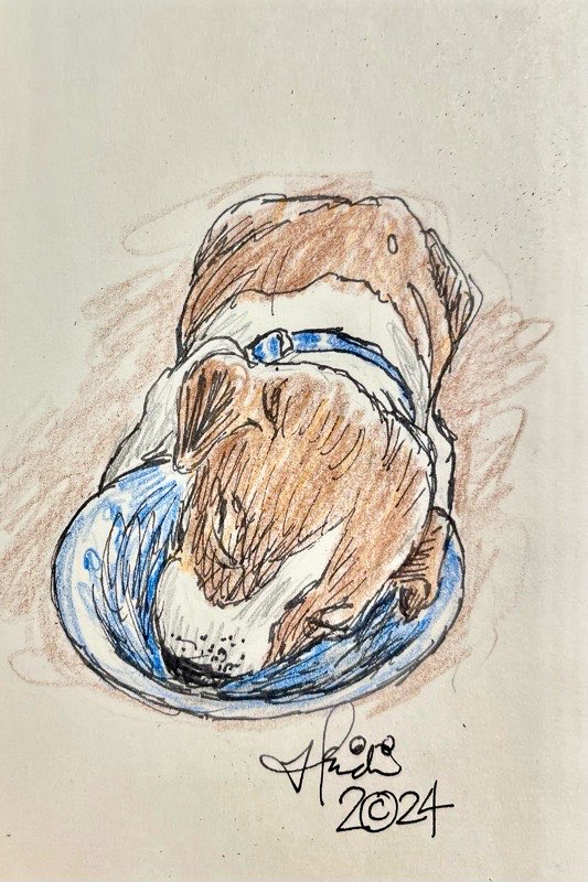 I drew this for today's prompt!

Sketchaday #worn

This little pup is just so worn out he has fallen asleep at his bowl.