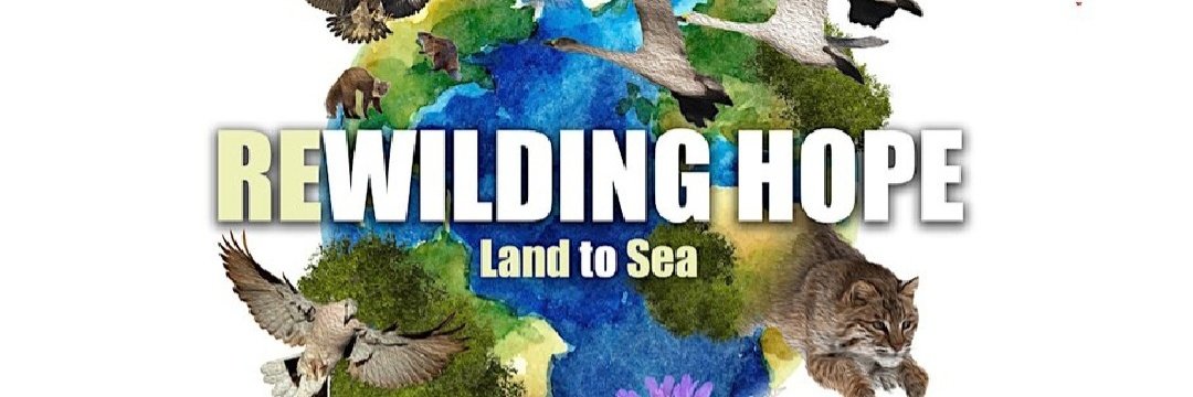 Our new improved 'online' #RewildingHope Land to Sea conference is now live!!  Join us for 2 days of online #rewilding #networking and celebrate #WorldEnvironmentDay & #WorldOceansDay. Sponsored by @RewildingB and @NorthWildlife (Ticket donations welcome) eventbrite.co.uk/e/rewilding-ho…