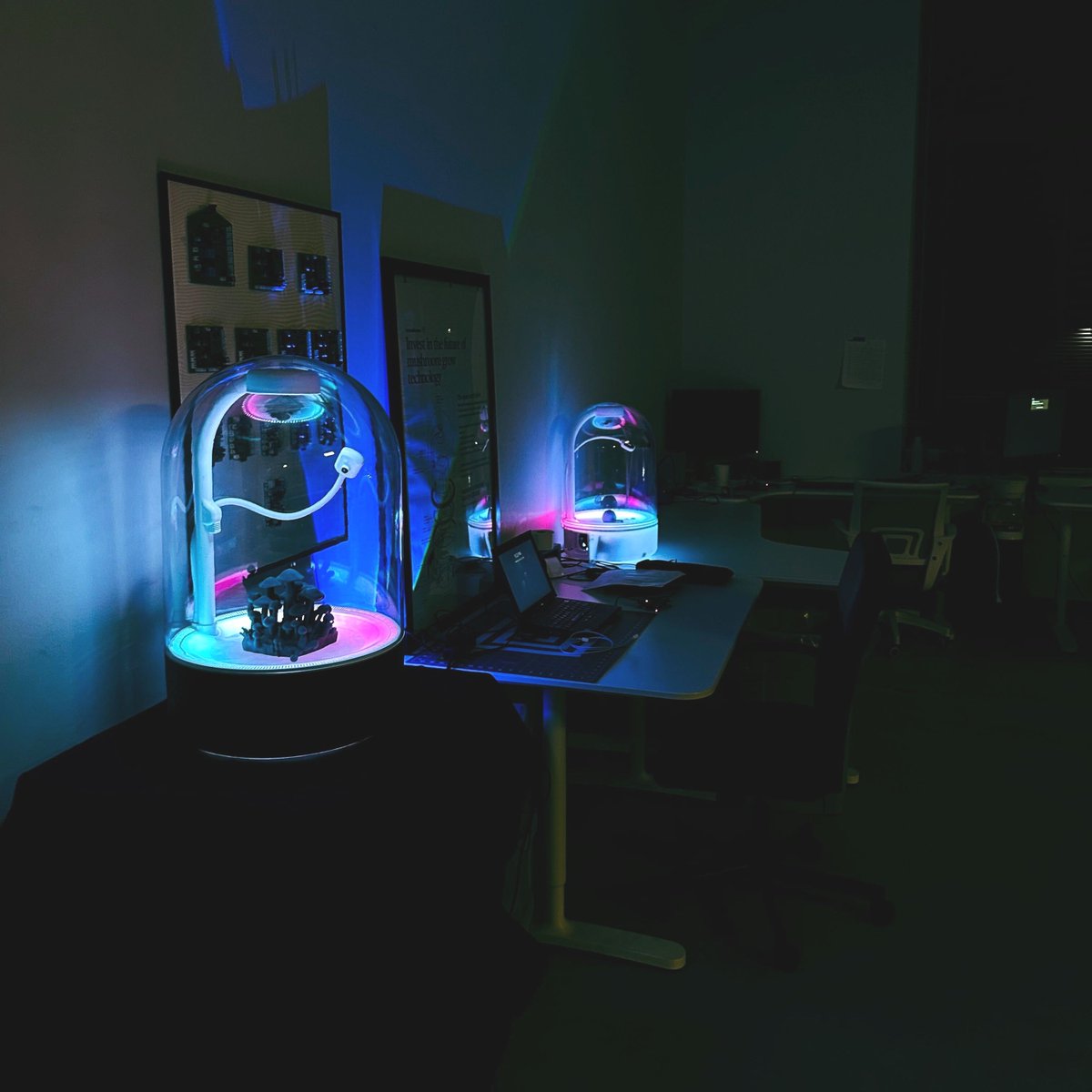 Late nights at the Terrashroom HQ aren't so bad when this is the view👀