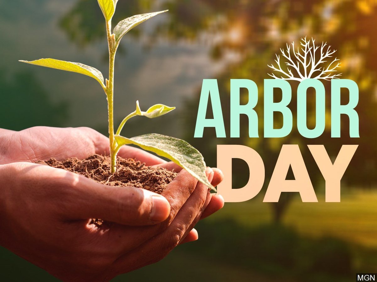 🌳 Happy Arbor Day! 🎉 Let's appreciate our leafy friends. Trees are like good pals: tall, cool & long-lasting. 🌲 Today, hug a tree (or just nod, it's cool 😎). Together, we'll make our world greener. 🌍💚 #ArborDay #TreeLove #HugATree 🌱🤗🌳

#ArborDay #yeahthatgreenville