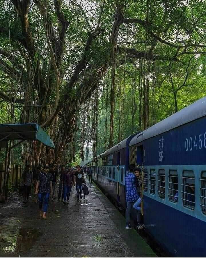 Cherukara Railway Station, Malappuram
Lovely Kerala- God's Own Country..
(PLEASE keep the 'wealth creators' out)