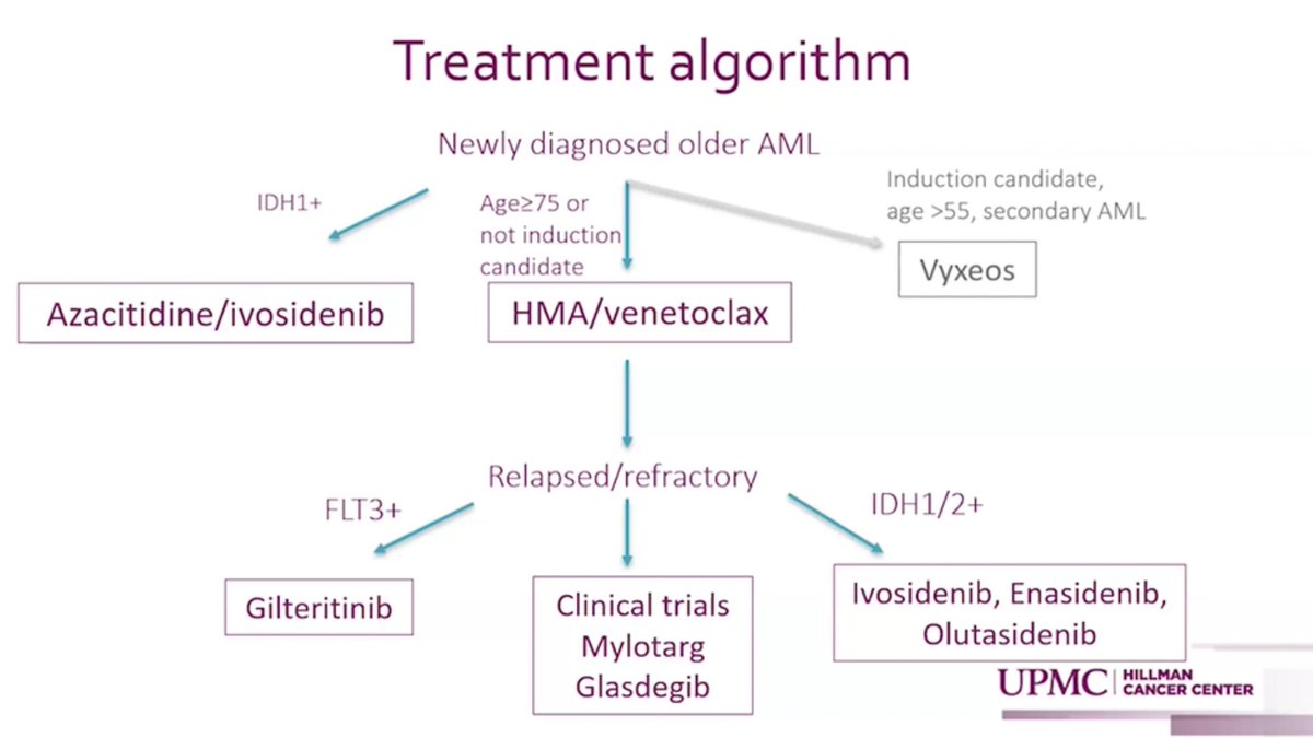 You still have a chance to catch up on the enlightening session with Global Leader and Keynote Speaker, 🌟Dr. Annie Im🌟 from the University of Pittsburgh Cancer Center, where she discussed the Treatment of Acute Myeloid Leukemia in 2024! 📚👩‍⚕️✨