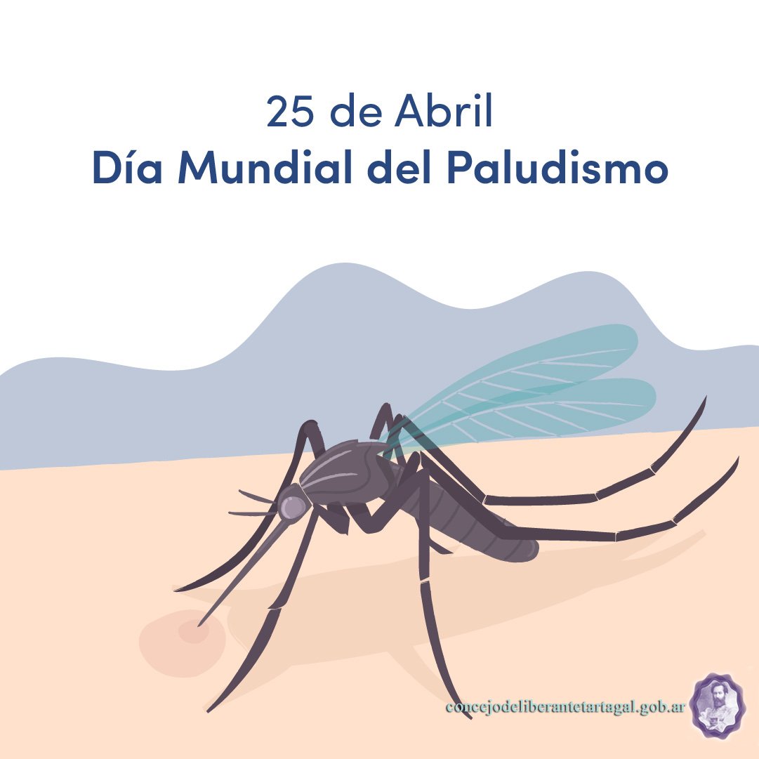 Hoy se celebra el Día del Paludismo, con el objetivo de poner de relieve la prevención y control de esta enfermedad🫱🏻‍🫲🏽.
#DiaMundialDelPaludismo