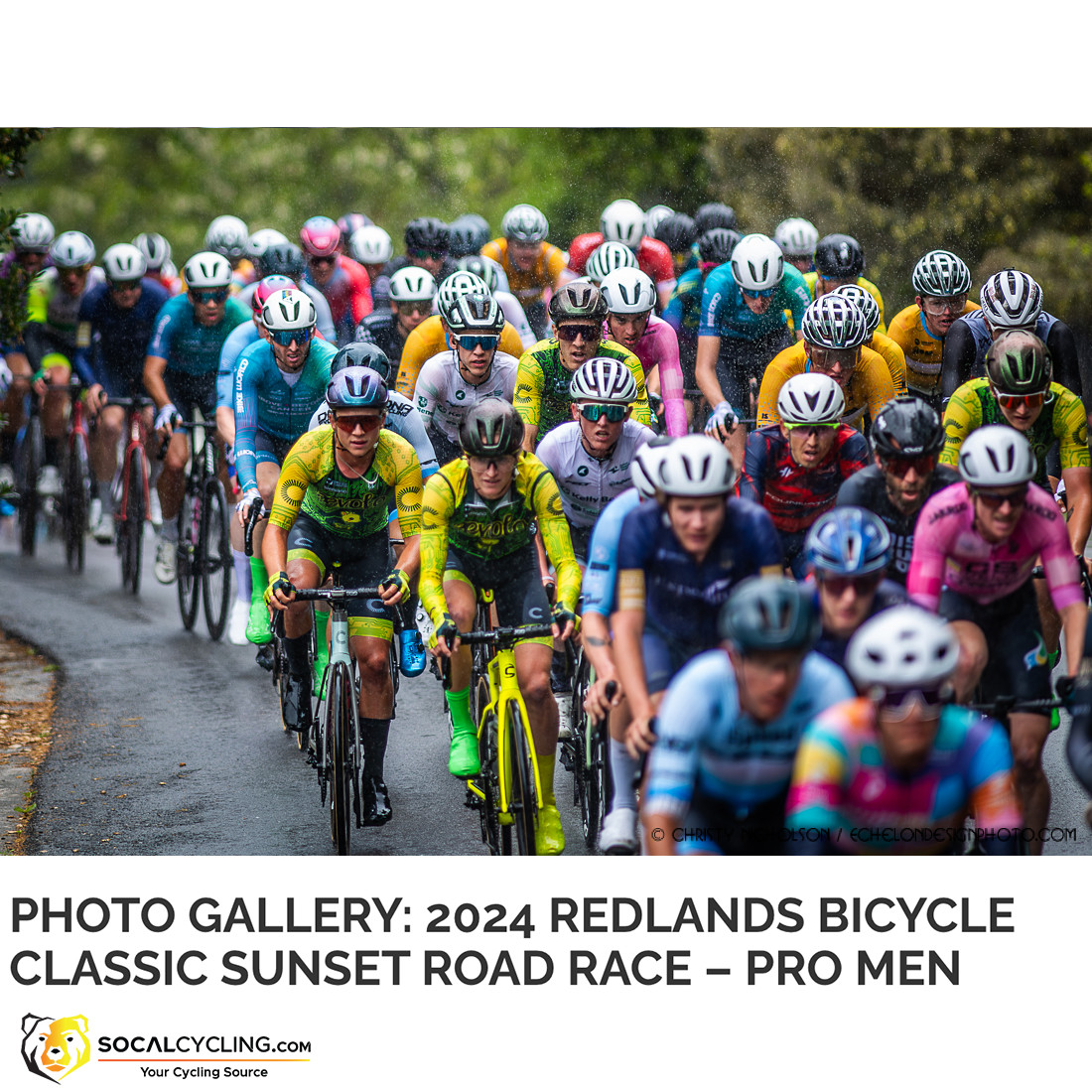 Photo Gallery: 2024 Redlands Bicycle Classic Sunset Road Race – Pro Men

Photo Gallery @ socalcycling.com/2024/04/25/red…

#Cycling #Bicycling #Cycling #Bicycling #RedlandsClassic #CyclingPhotos #CyclingPics #SportsPhotos #SportsPhotography #redlandsbicycleclassic