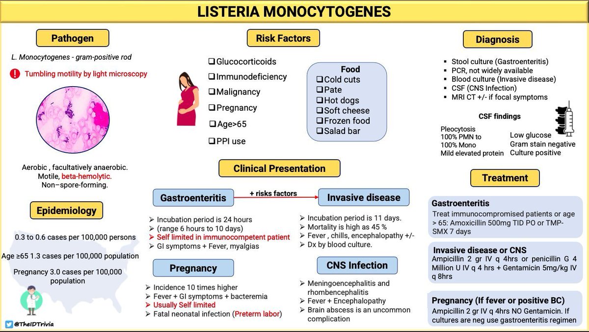 @MayoClinicINFD @JamesVaillantMD Listeria monocytogenes

<Image source: @TheIDtrivia via @grepmeded, tinyurl.com/38wtcaks>