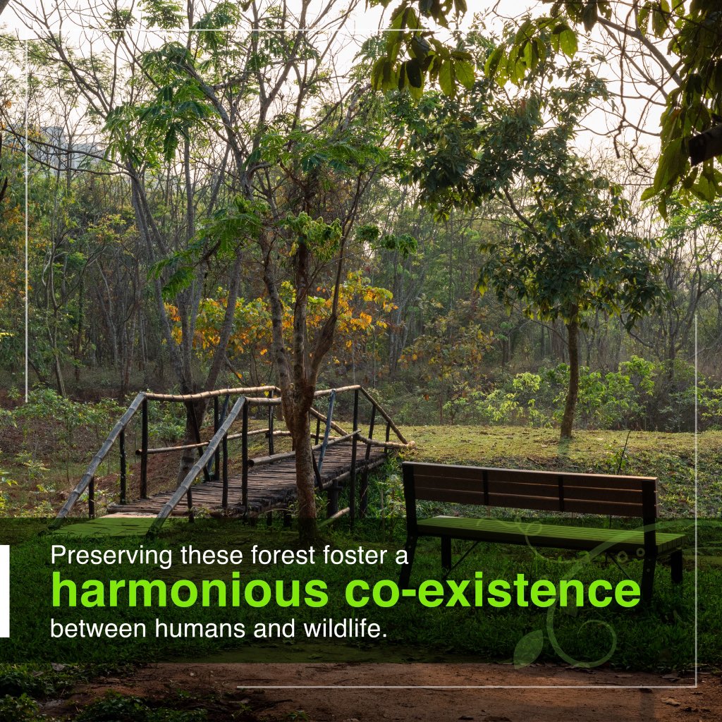 In harmony with nature, at our haven of joy, we strive to establish a green space inclusive to all, promoting not only the conservation of flora and fauna but also advancing the quality of life for humanity. 

#Anandabana #NestofHappiness #Coexistence