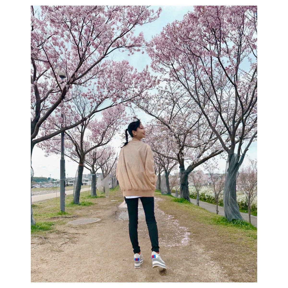 今年の桜を振り返る🌸 in大阪 AIO