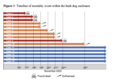 In 2022, an unusual mortality event of captive bush dogs with HPAI. Enclosure of 15 bush dogs, 10 died in 9 days w some dogs exhibiting neurological disease. Ingestion of infected meat. 👉biorxiv.org/content/10.110…