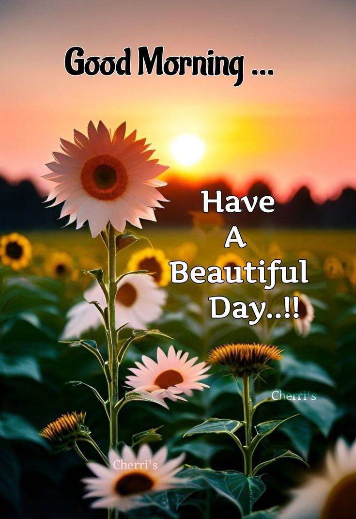 Good Morning Tweethearts Have a beautiful day ahead and a blessed weekend 😊 ✨️ ❤️💕