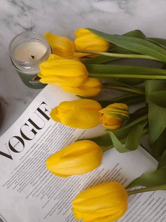 thefoxstudy's tweet image. Bom dia sexta-feira!