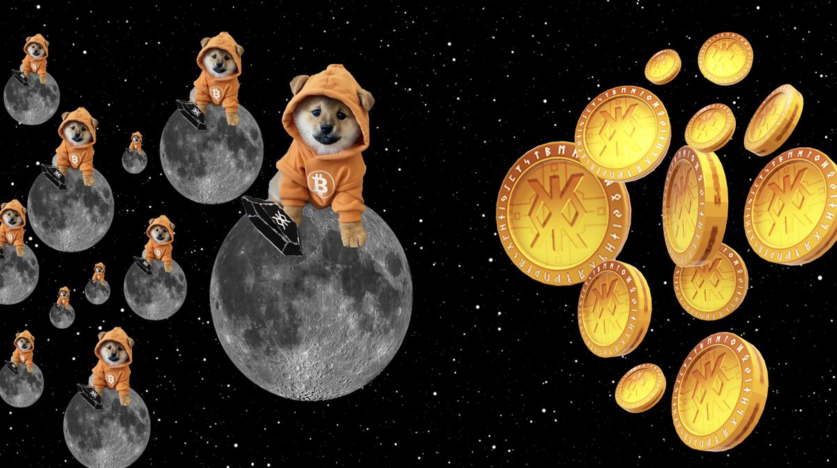 Bitman 🅱️ tweet media