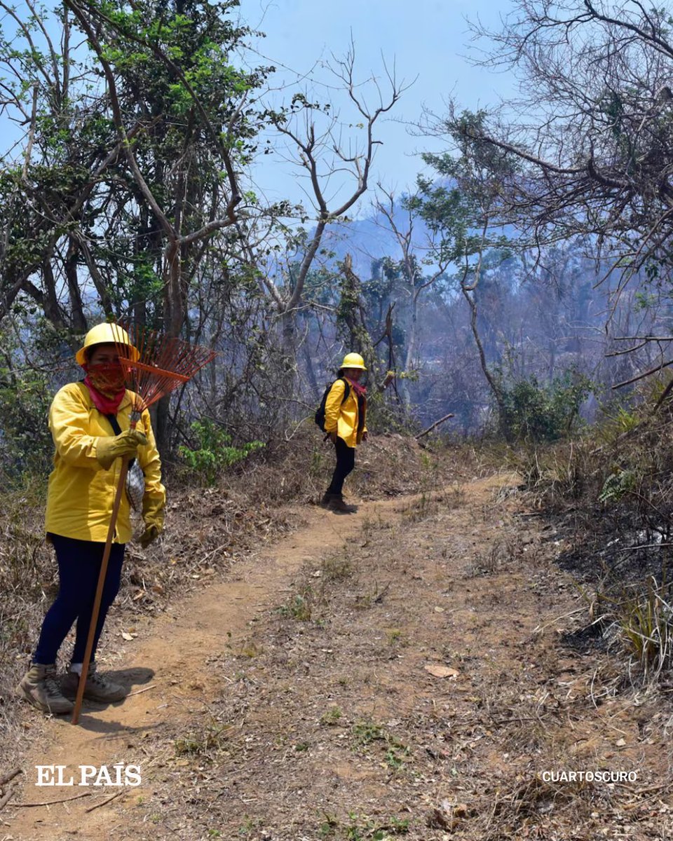 📸 El incendio forestal que amenaza a los habitantes y ecosistemas de Acapulco 👉🏼 bit.ly/3UzojaF