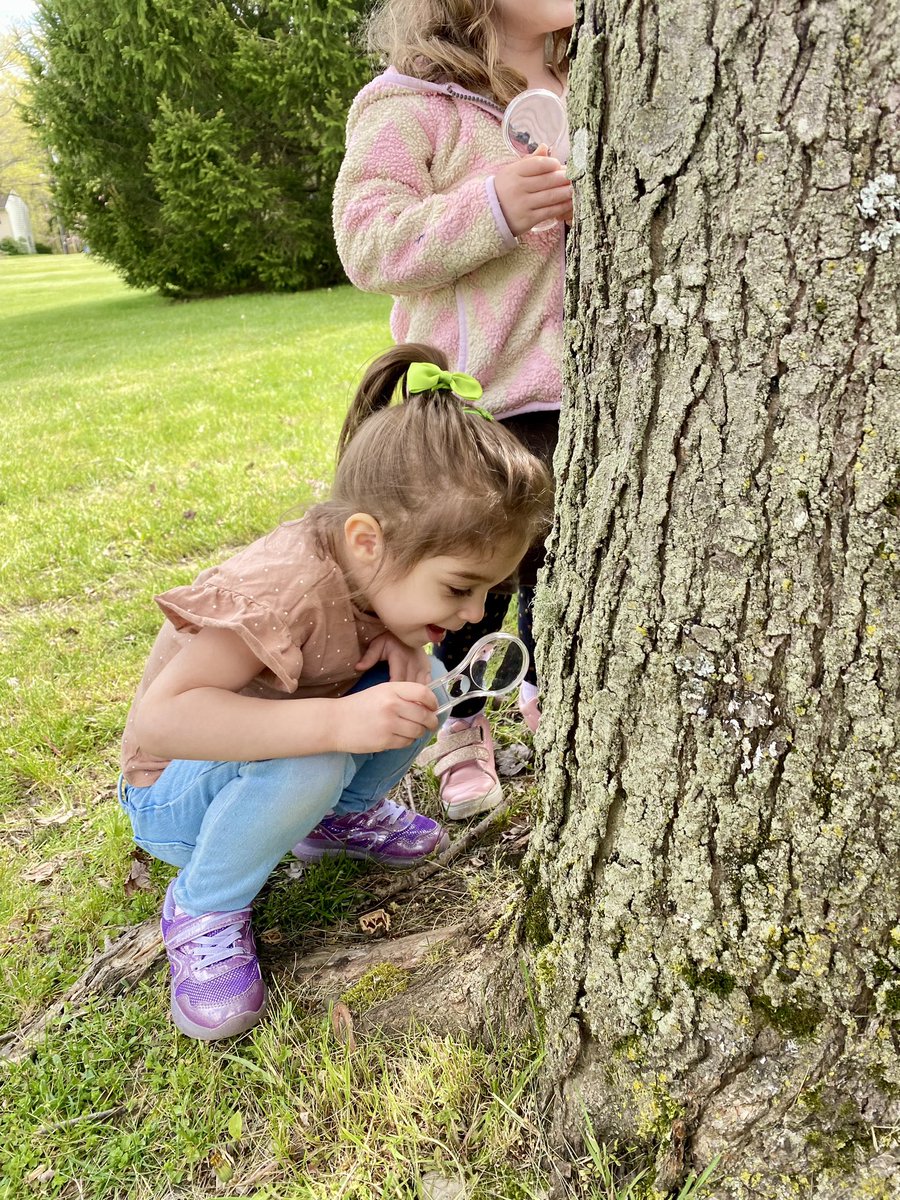 MrsVentre's tweet photo. Joined some friends for an Arbor Day STEM adventure! 🌳🔍💚 https://t.co/ywIBxWzHWG